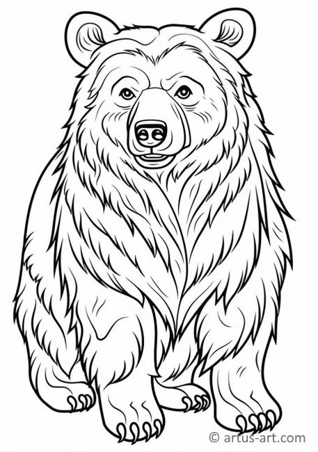 Página para colorear de osos